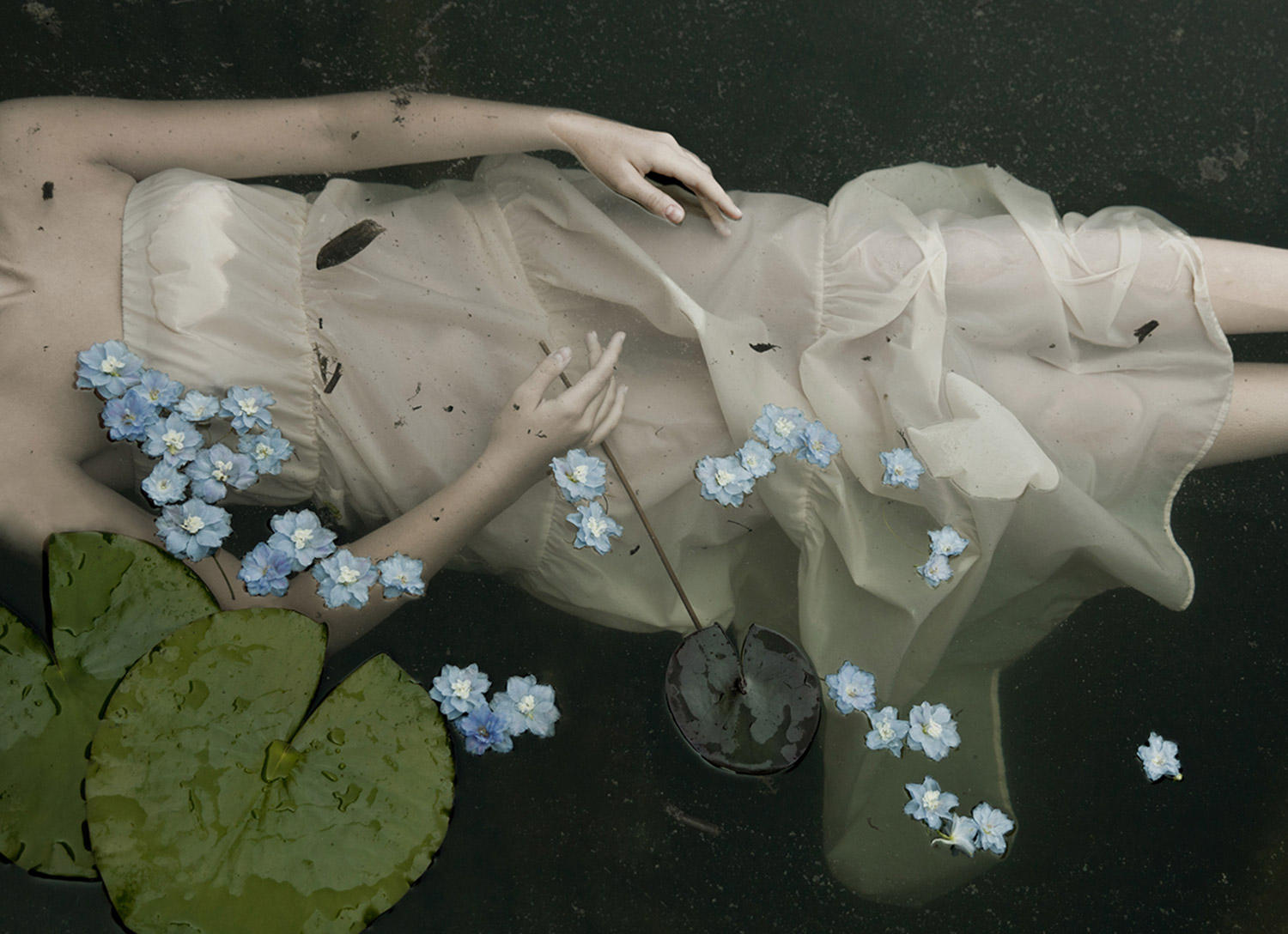 Fotografías de Monia Merlo