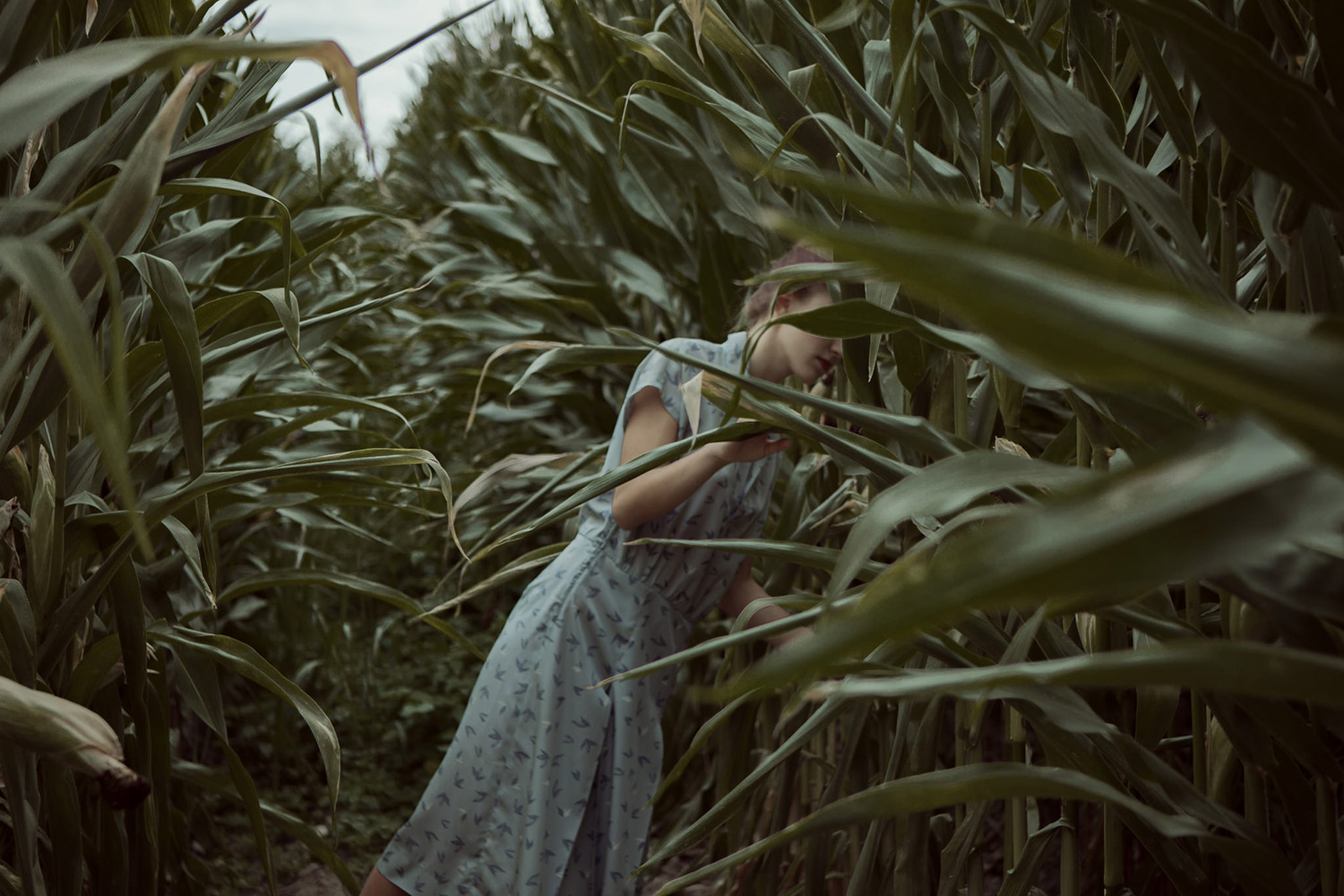 Fotografías de Monia Merlo