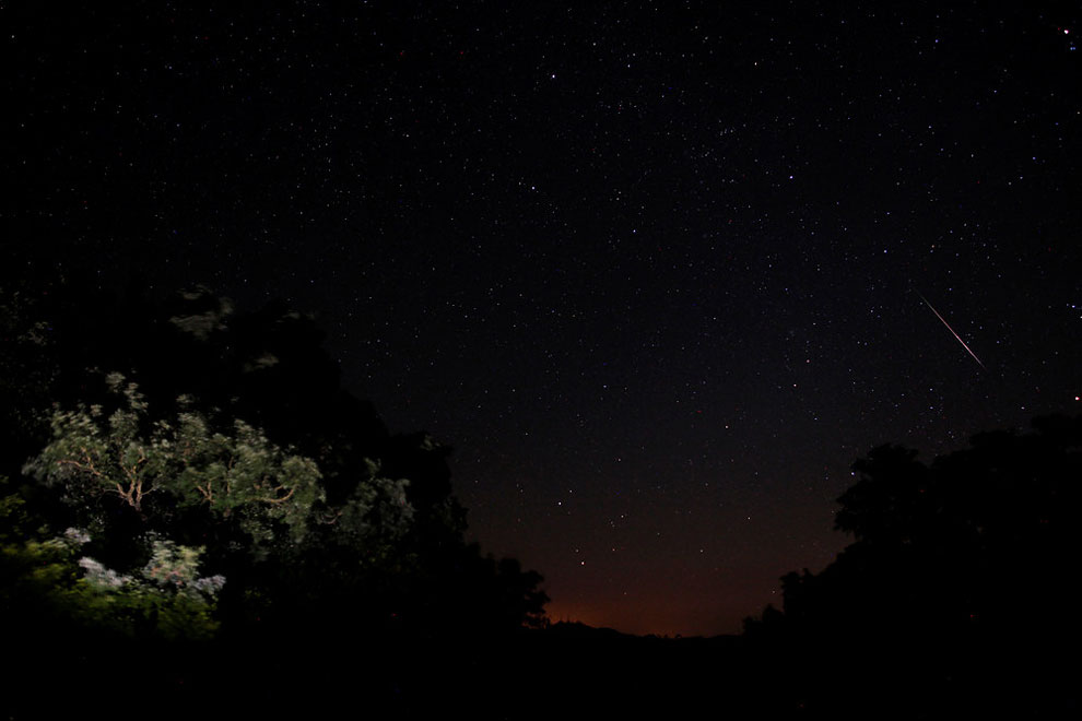 perseid culturainquieta3
