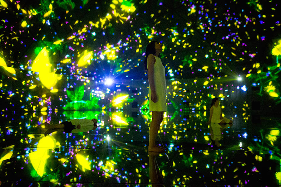 teamlab culturainquieta14