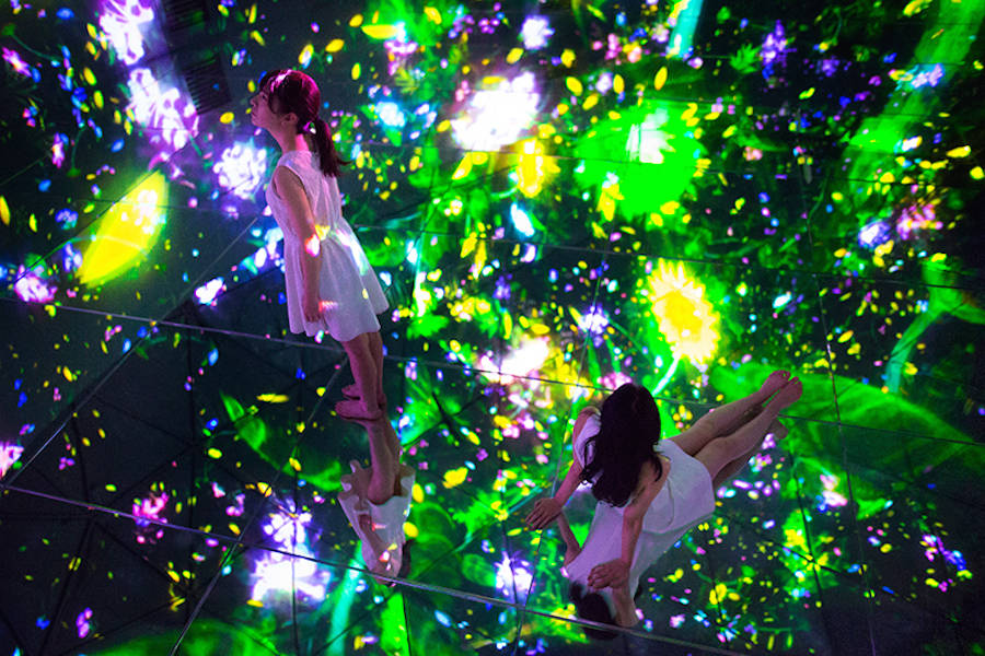 teamlab culturainquieta15