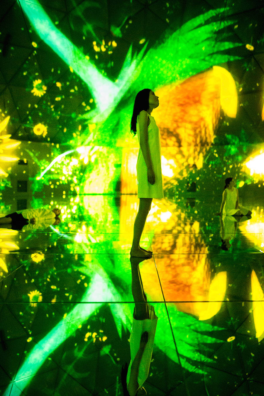 teamlab culturainquieta16