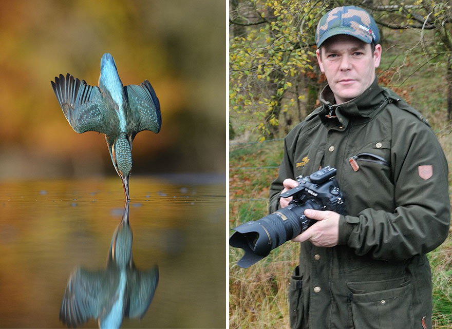 Alan McFadyen Kingfisher martin pescador3