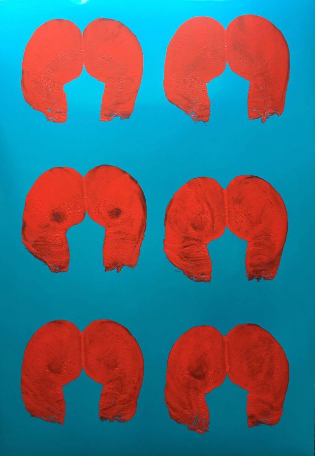 Haris Lithos pintando con culos 6