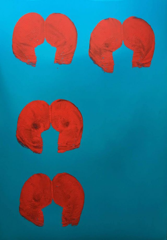 Haris Lithos pintando con culos 7