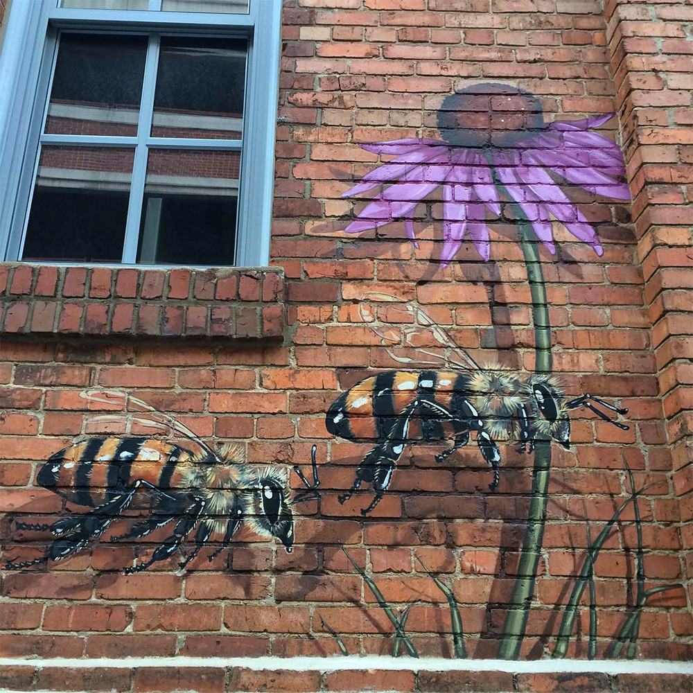 Matthew Willey arte urbano mural abeja 2