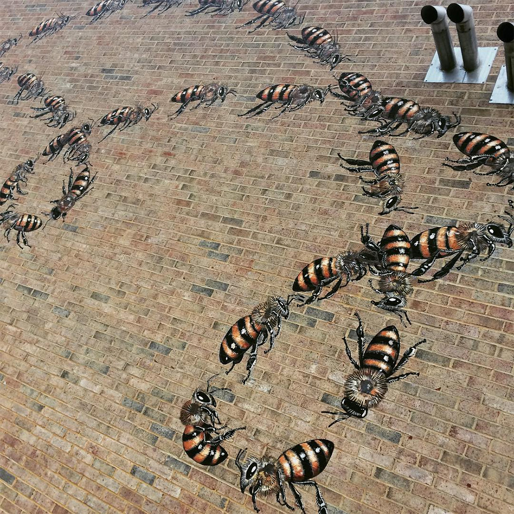 Matthew Willey arte urbano mural abeja 3