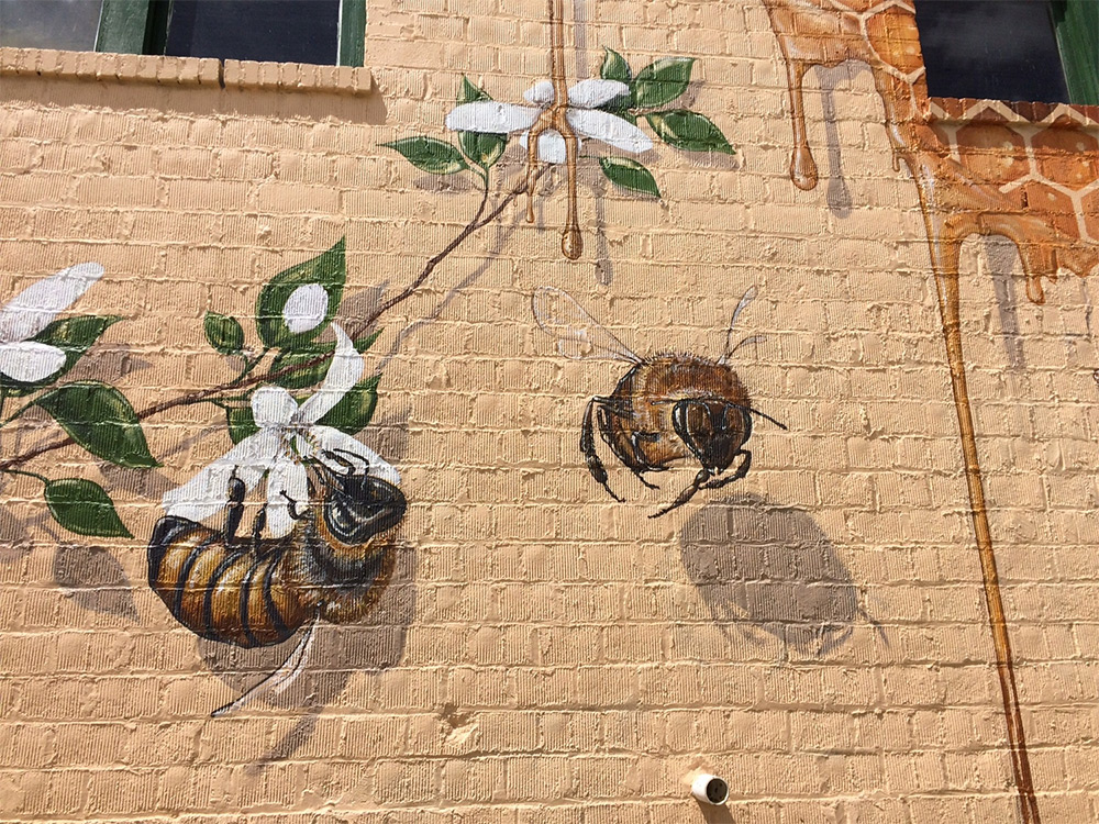 Matthew Willey arte urbano mural abeja 4