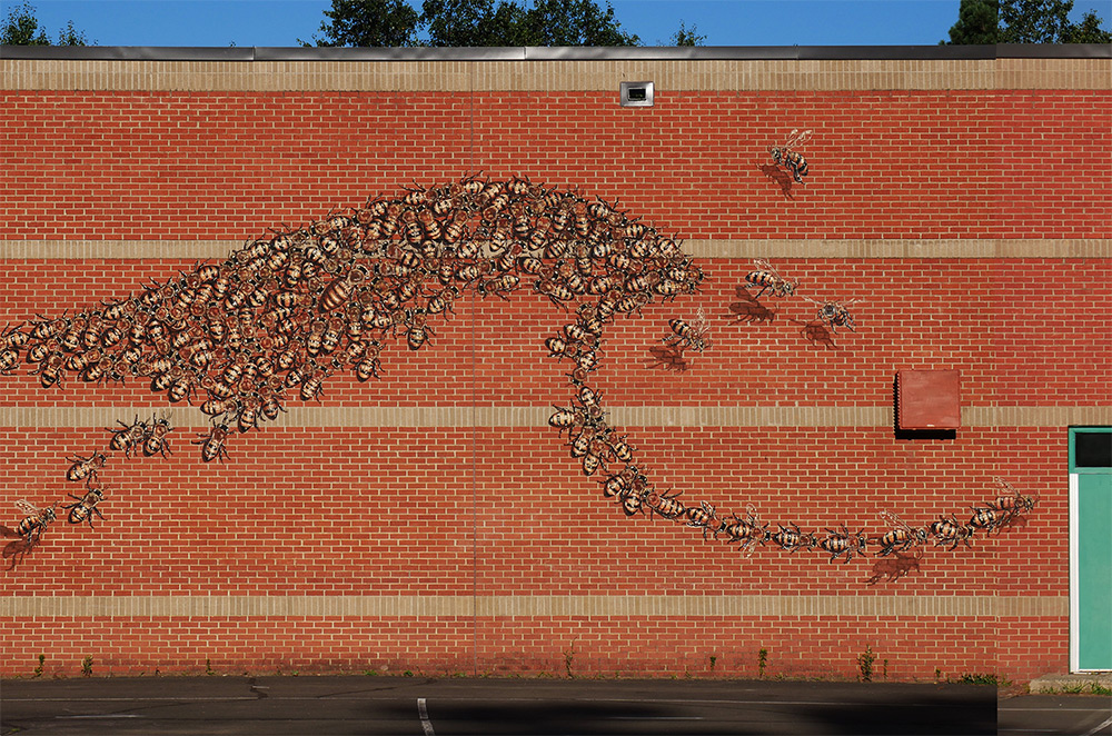 Matthew Willey arte urbano mural abeja 5
