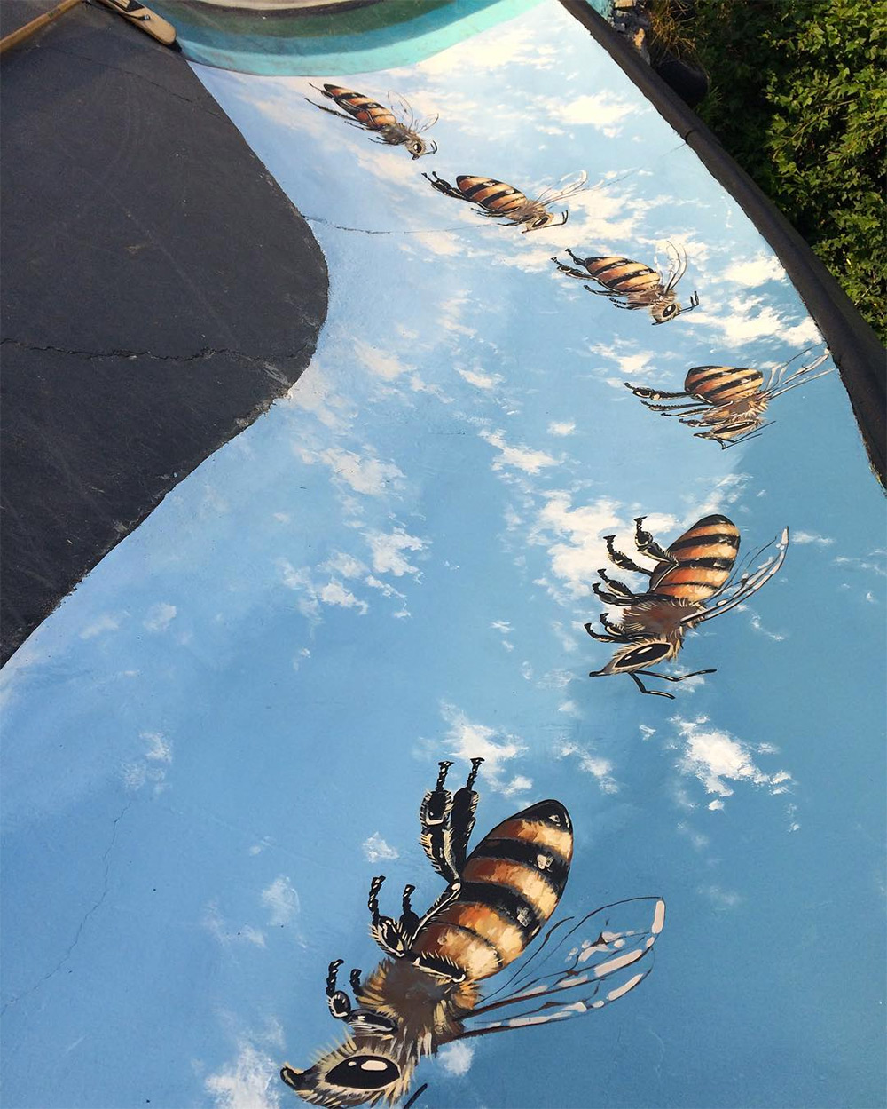 Matthew Willey arte urbano mural abeja 6