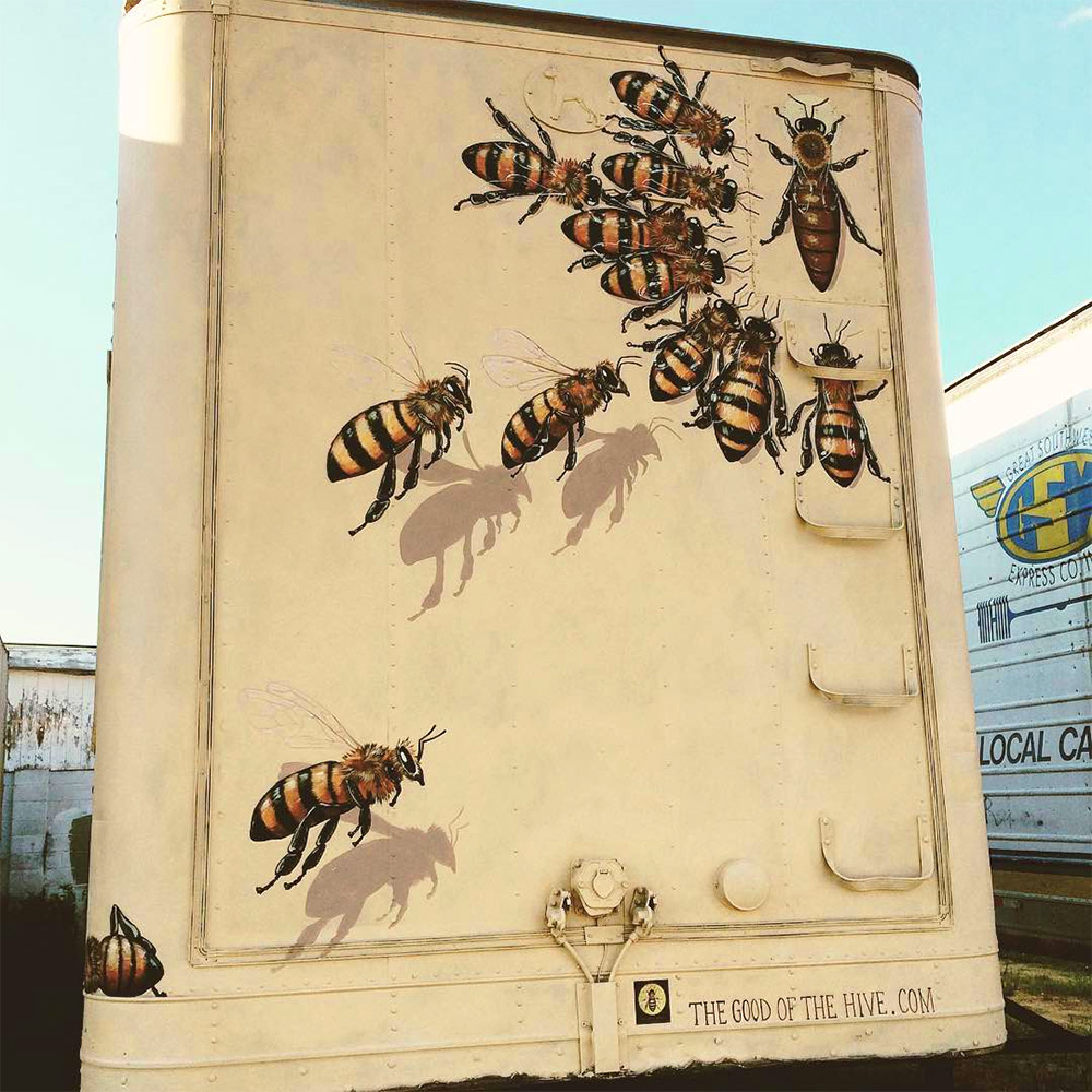 Matthew Willey arte urbano mural abeja 7