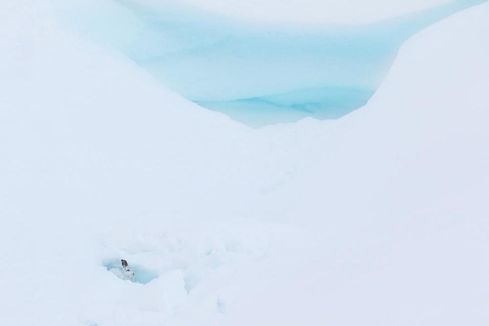 PhotographyAwards 08
