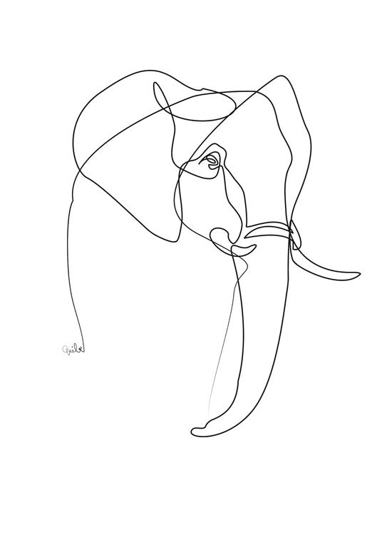 Quibe dibujo un trazo 6