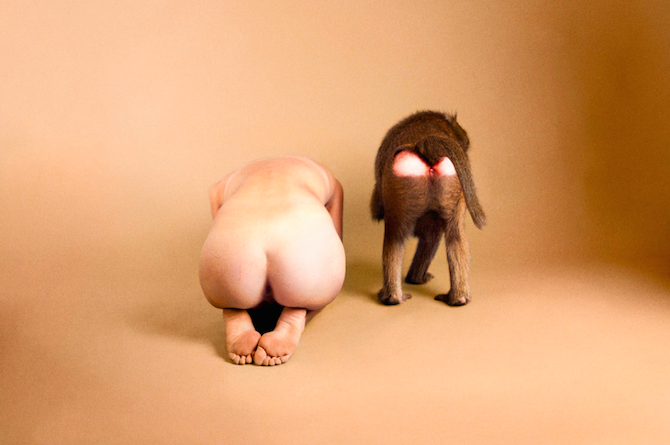 Ryan McGinley Animals culturainquieta