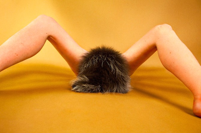 Ryan McGinley Animals culturainquieta3