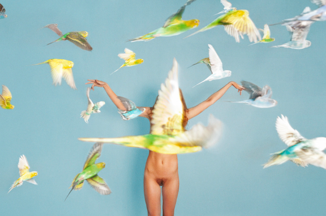 Ryan McGinley Animals culturainquieta4