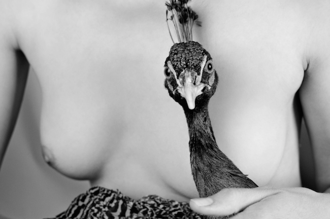 Ryan McGinley Animals culturainquieta8