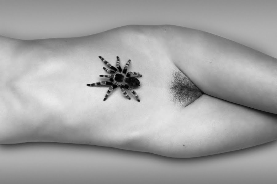 Tarantula 2010