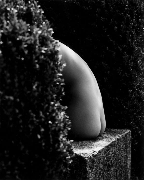 Tono Stano eotica sensual art9