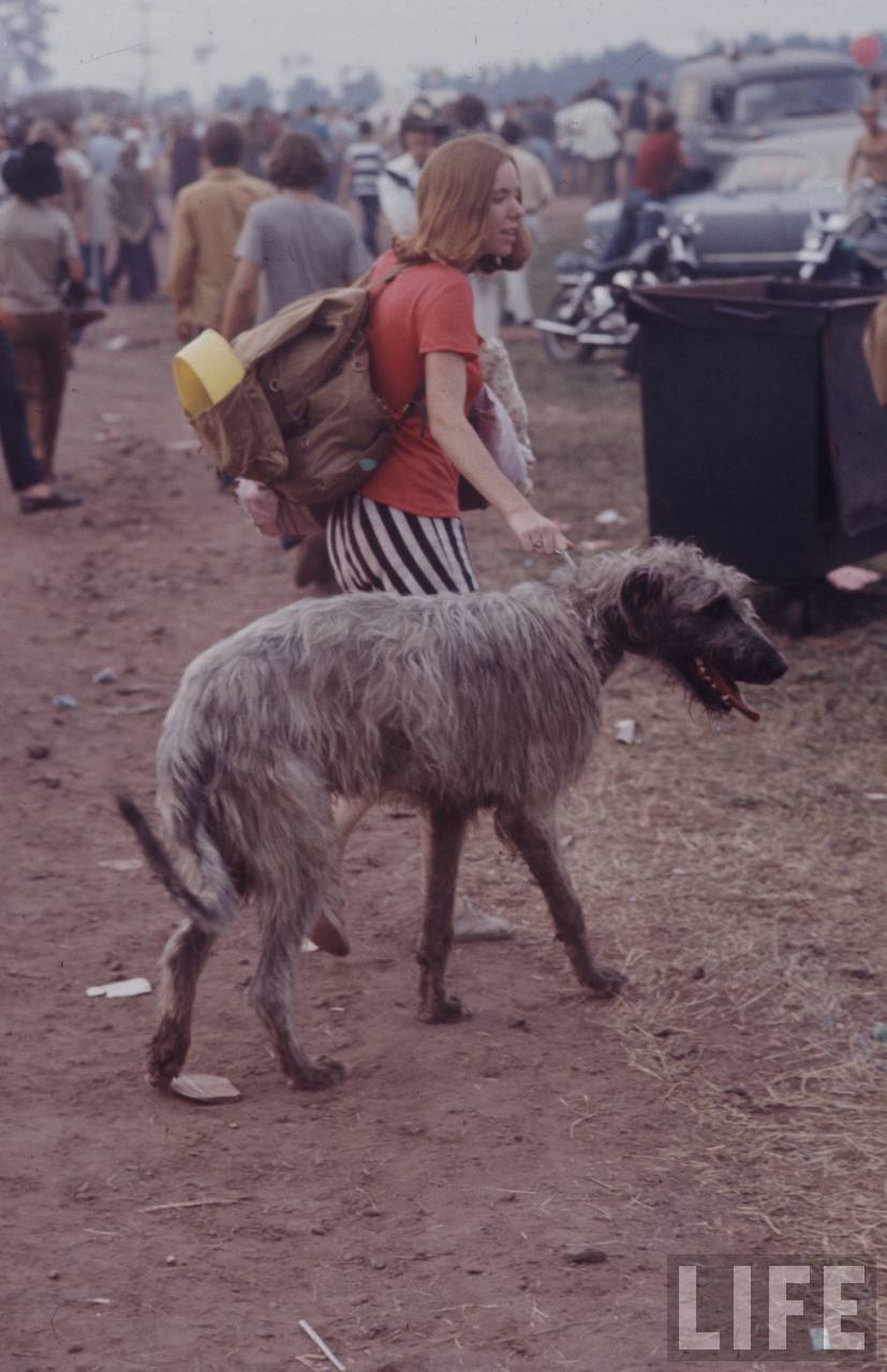 Woodstock hippie rock festival 16