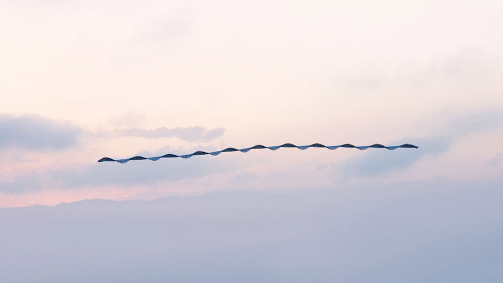 Xavi Bou fotografia aves 5
