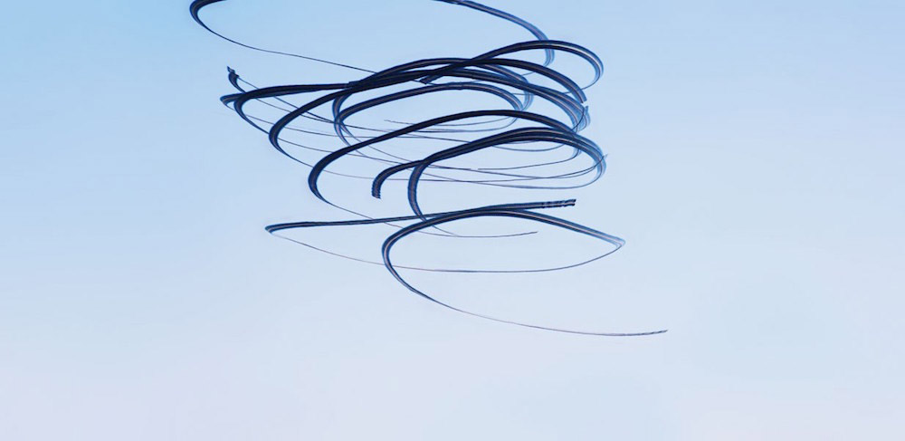 Xavi Bou fotografia aves 6