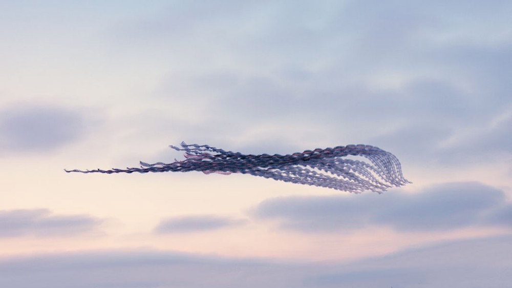 Xavi Bou fotografia aves 7