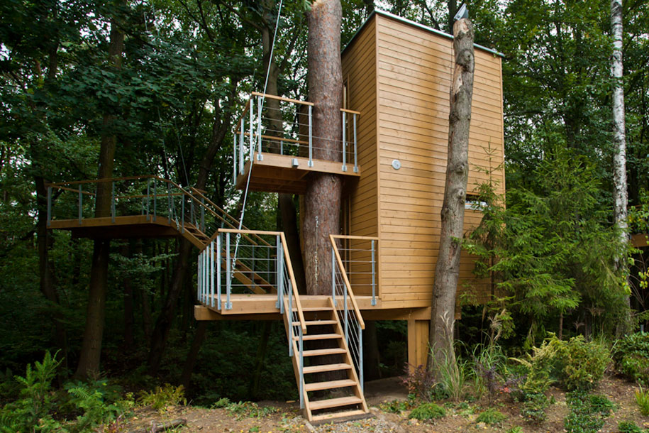 arboles en edificios casas 14