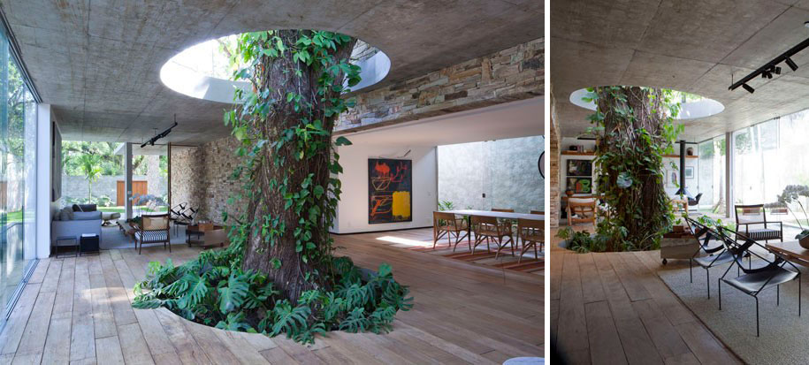 arboles en edificios casas 6