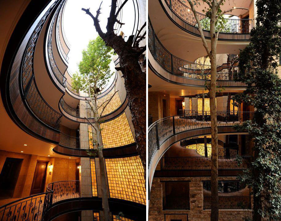 arboles en edificios casas 7