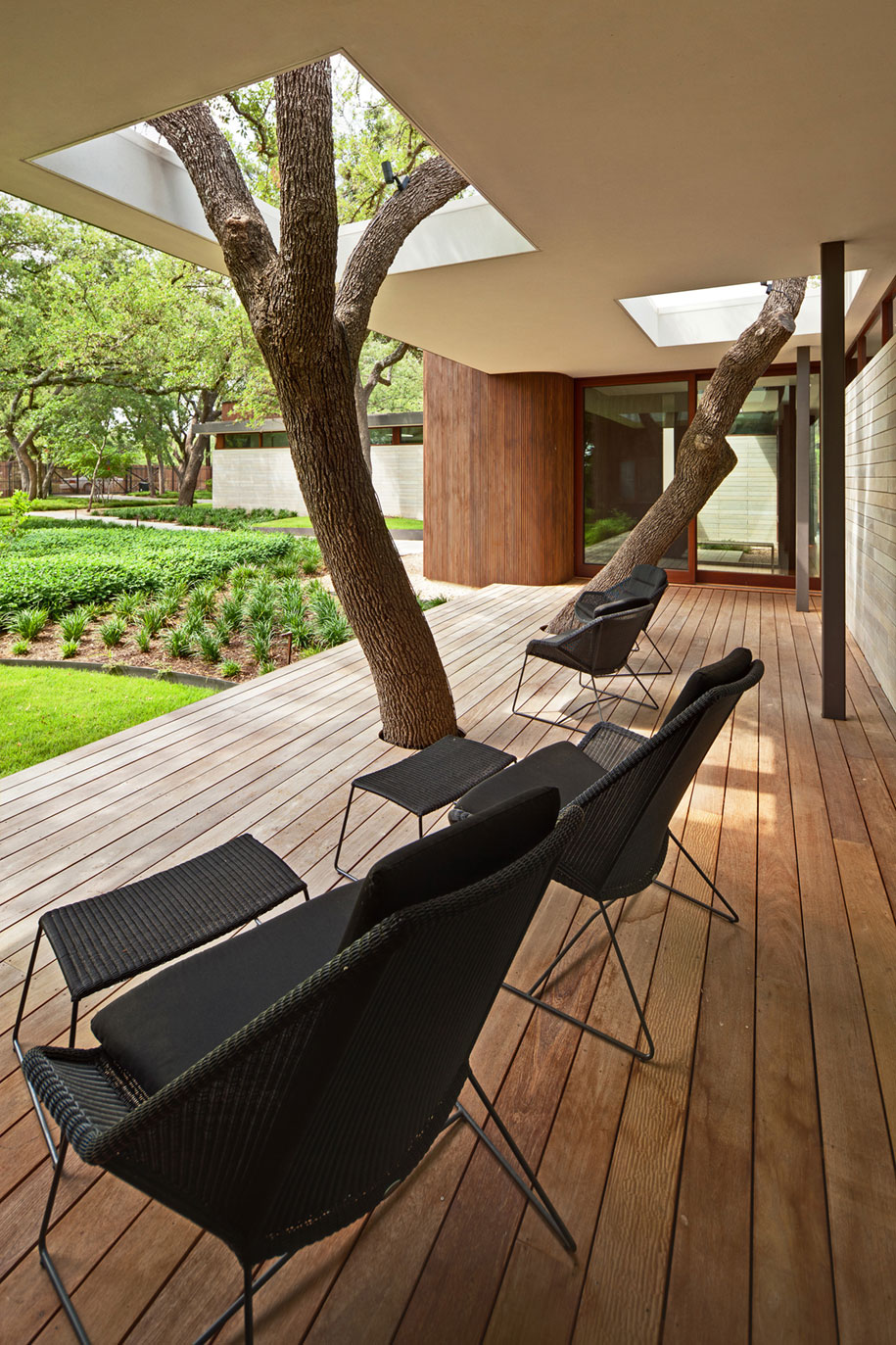 arboles en edificios casas 8