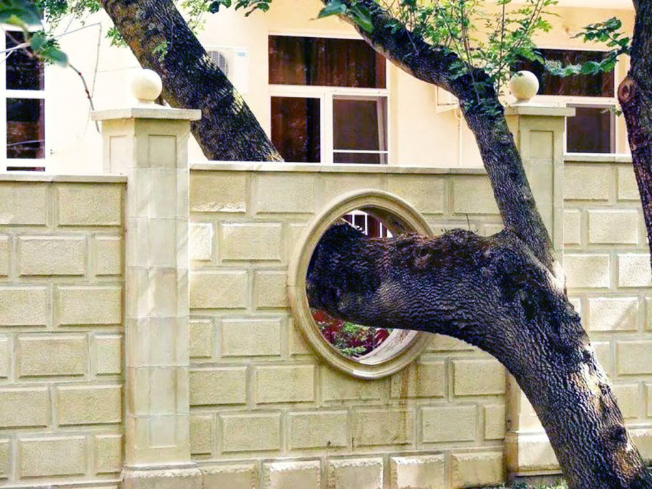 arboles en edificios casas 9