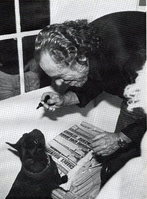 charles bukowski gato
