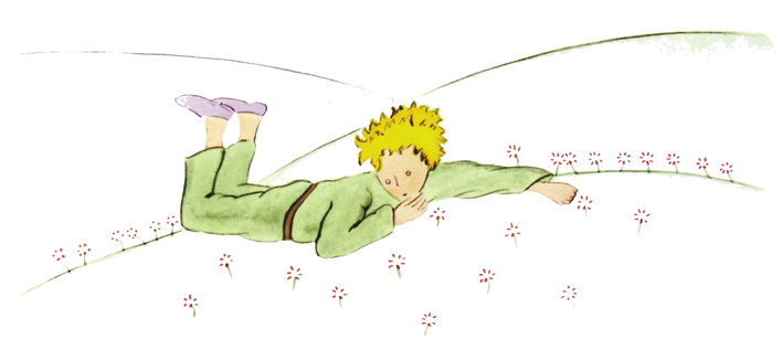 Ilustración de el principito la tierra