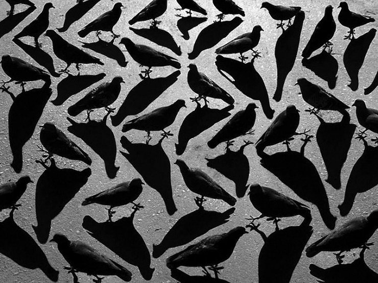 Alexey Bednij sombras contraste1