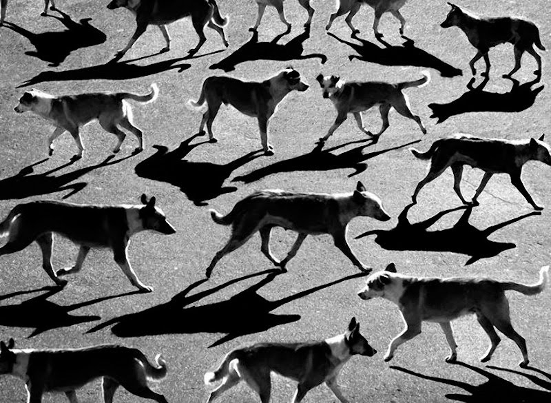 Alexey Bednij sombras contraste13