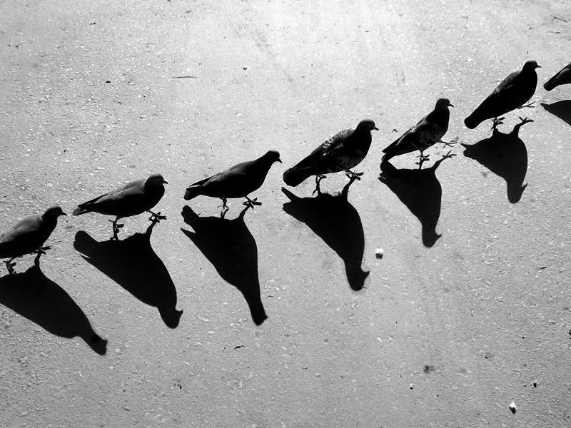 Alexey Bednij sombras contraste15