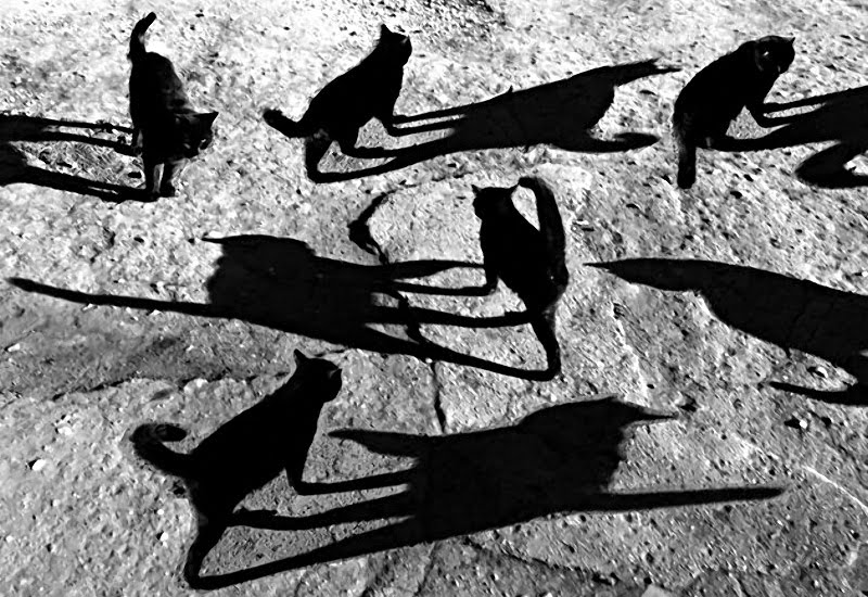 Alexey Bednij sombras contraste18