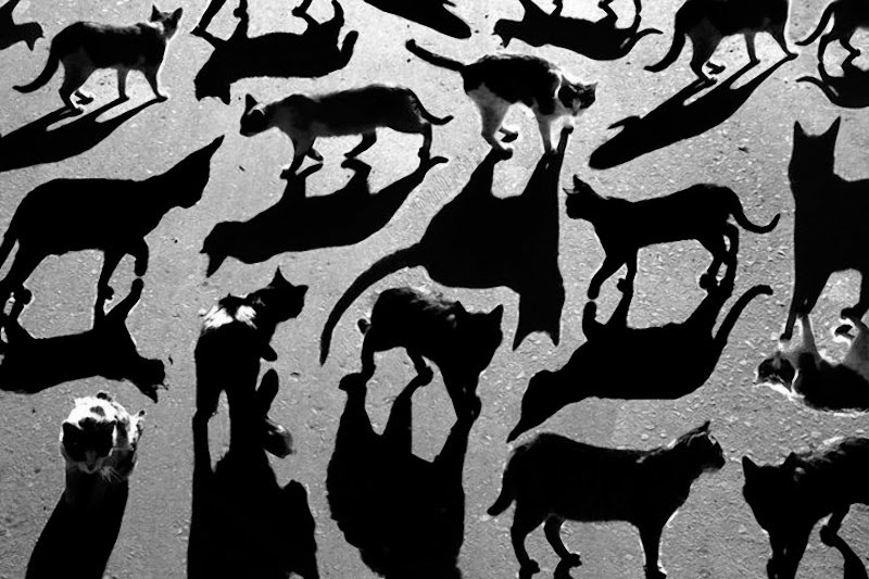 Alexey Bednij sombras contraste2
