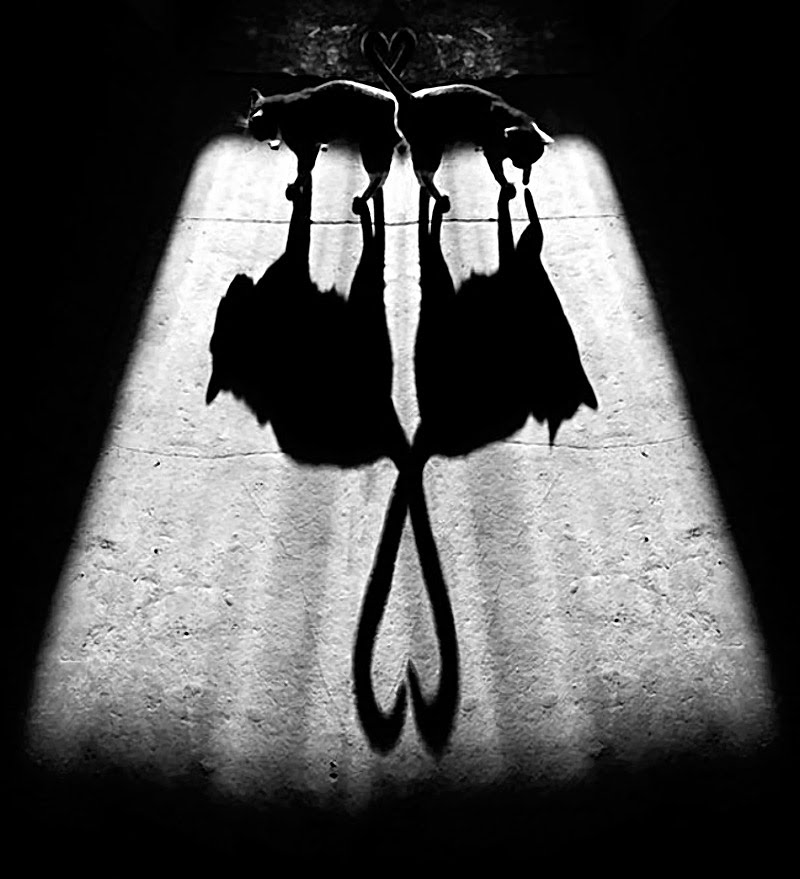 Alexey Bednij sombras contraste4