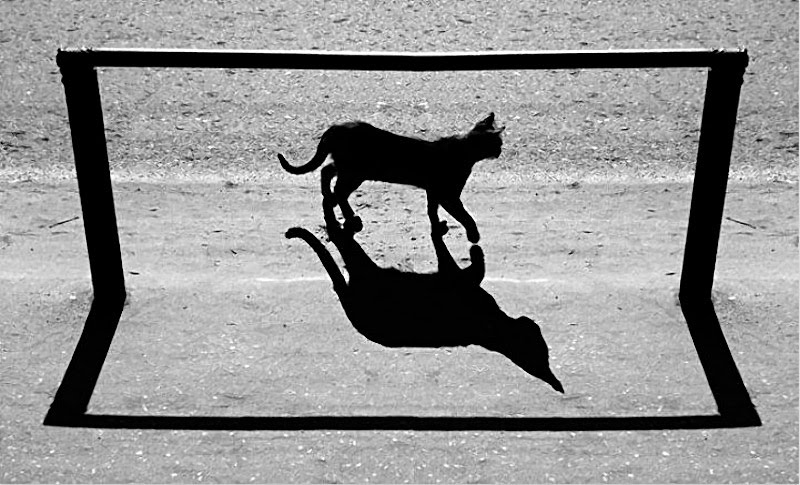 Alexey Bednij sombras contraste5