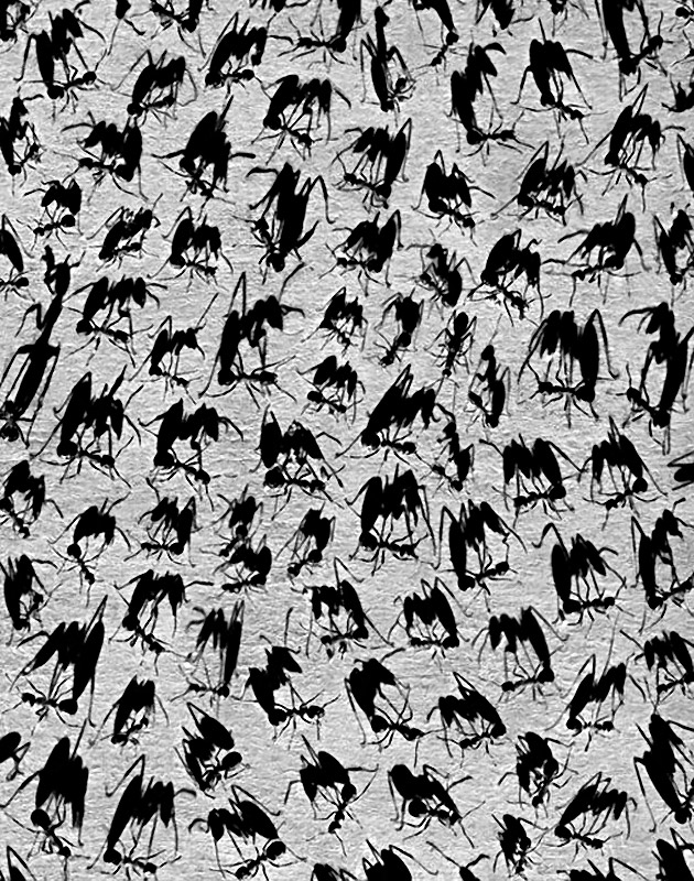 Alexey Bednij sombras contraste8