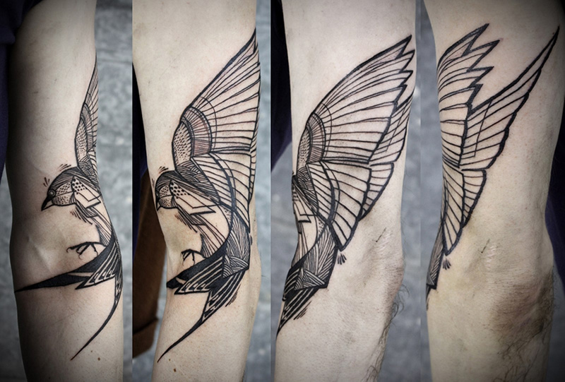 David Hale Cultura Inquieta