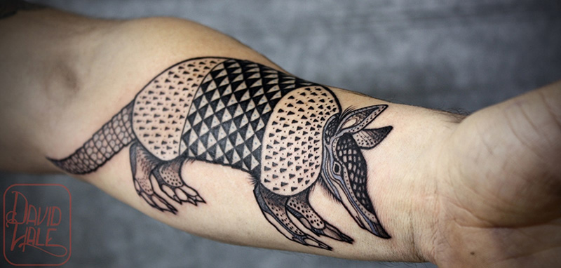 David Hale Cultura Inquieta2