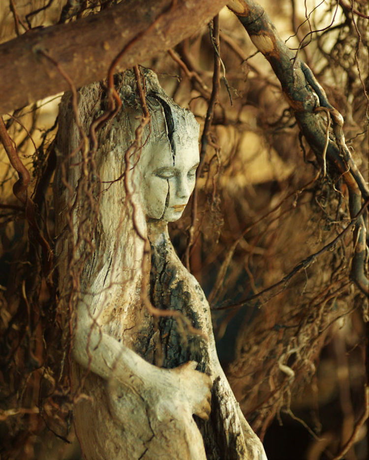 Debra Bernier esculturas de raices hojas 9