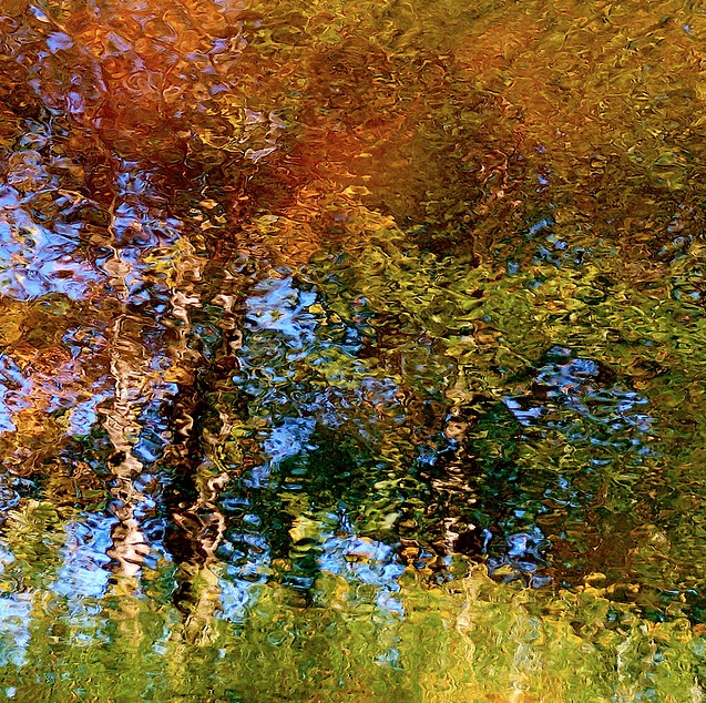Denis Collette