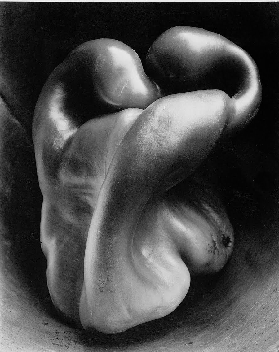 Edward Weston Cultura Inquieta