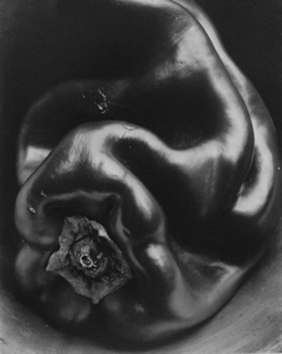 Edward Weston Cultura Inquieta