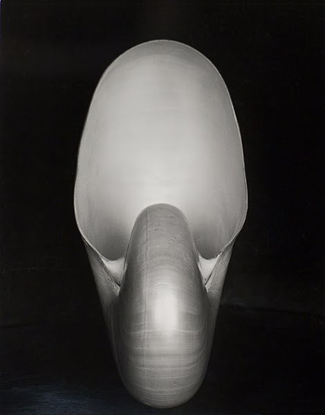 Edward Weston Cultura Inquieta