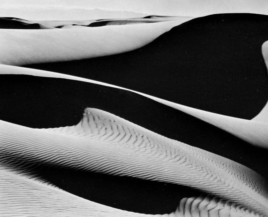 Edward Weston Cultura Inquieta